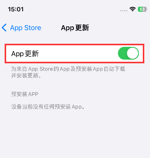 库车苹果15维修中心如何让iPhone15APP自动更新